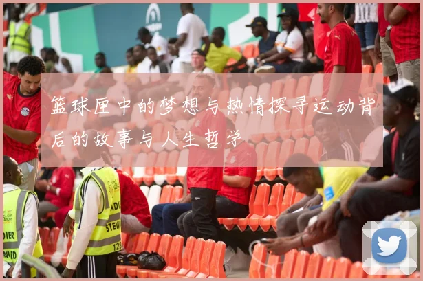 篮球匣中的梦想与热情探寻运动背后的故事与人生哲学