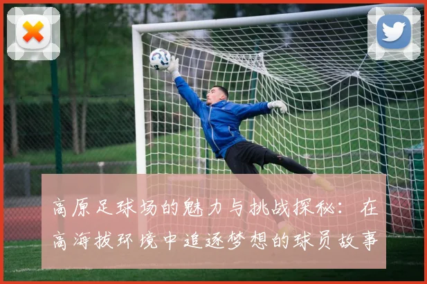 高原足球场的魅力与挑战探秘：在高海拔环境中追逐梦想的球员故事