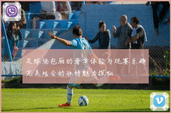 足球场包厢的奢华体验与观赛乐趣完美结合的独特魅力探秘