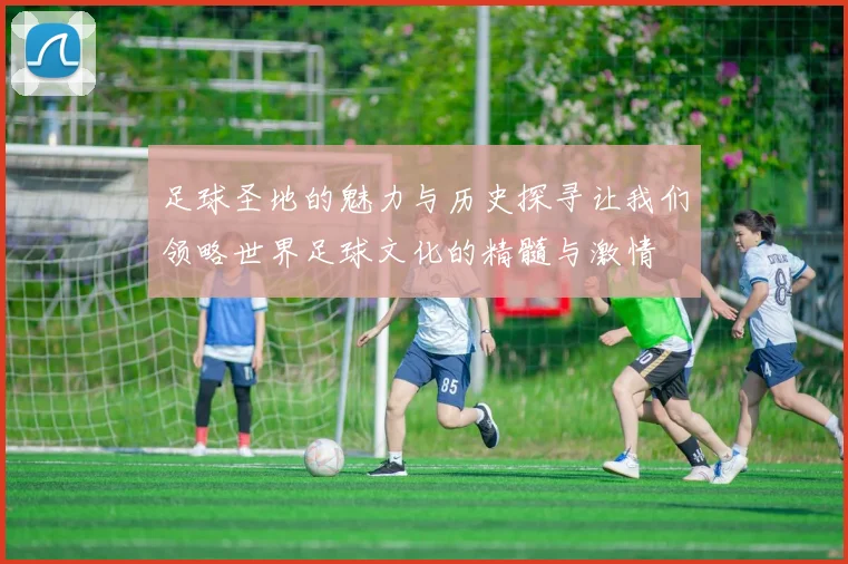 足球圣地的魅力与历史探寻让我们领略世界足球文化的精髓与激情