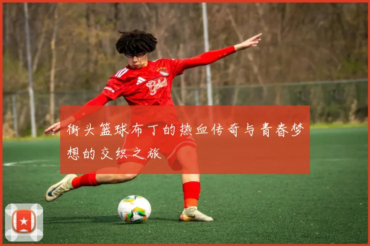 街头篮球布丁的热血传奇与青春梦想的交织之旅