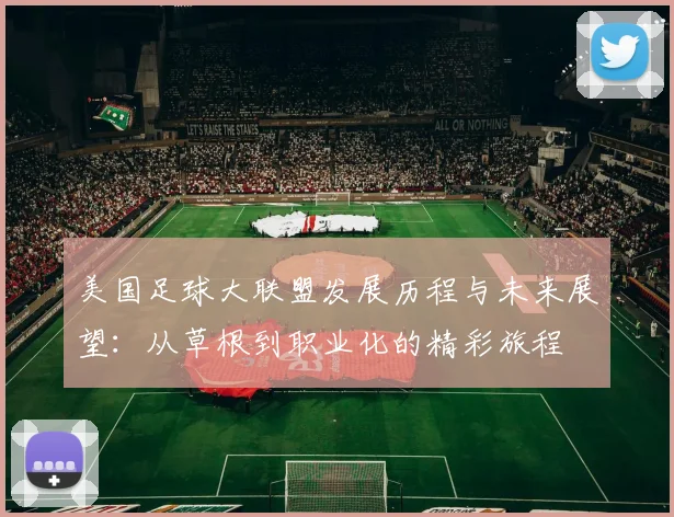美国足球大联盟发展历程与未来展望：从草根到职业化的精彩旅程