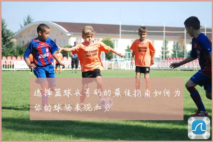 选择篮球衣号码的最佳指南如何为你的球场表现加分